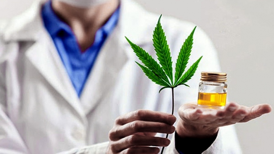 Avanza en Escobar el proyecto de producción de aceite de cannabis con fines medicinales