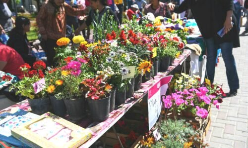 Primavera en Escobar: promociones exclusivas en comercios locales
