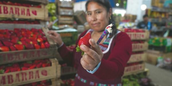 Llega a Escobar la Fiesta de la Frutilla