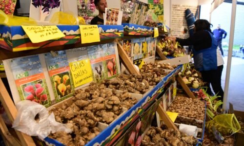 El Mercado de Productos Familiares vuelve a Belén de Escobar