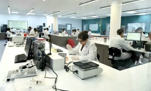 Mabxcience abrió una convocatoria para incorporar especialistas para su planta de Garín