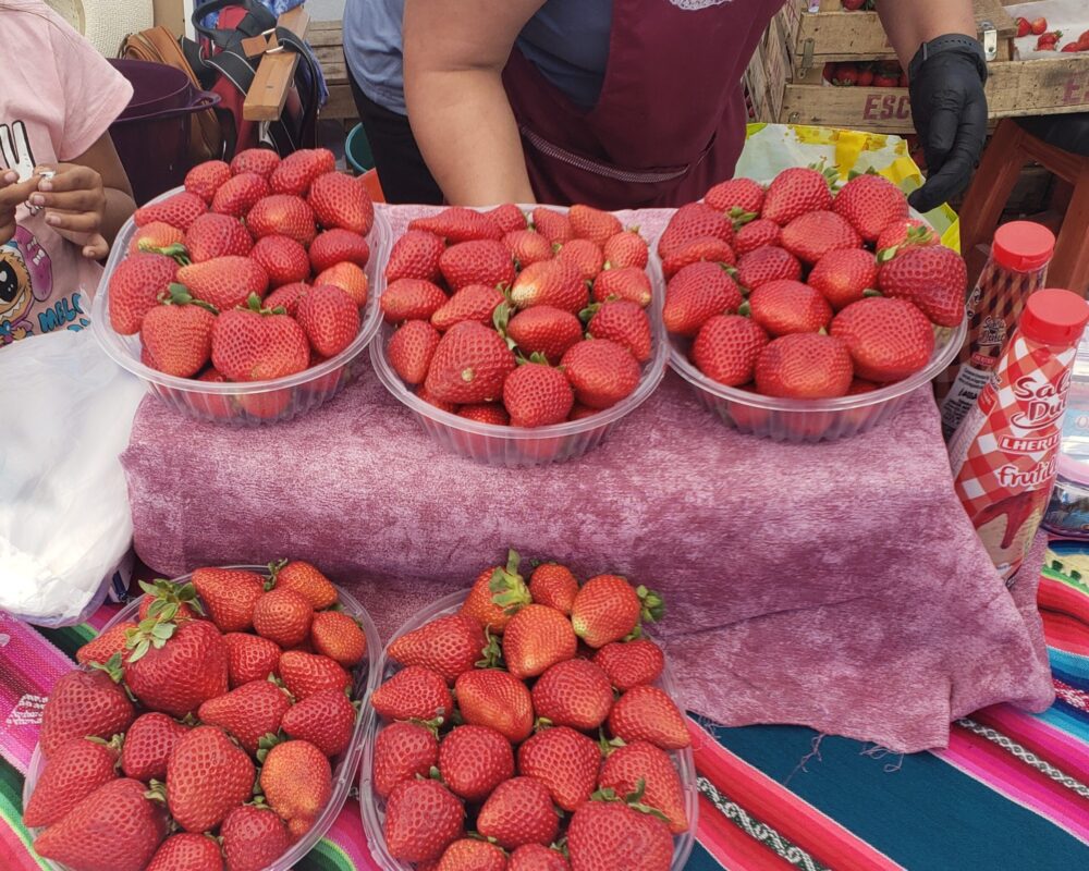 Escobar celebra la segunda edición de la Fiesta de la Frutilla